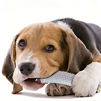 Köpek Fırçası Köpek Diş Fırçası Çiğnemek Oyuncak Sopa Temizleme Pet Diş Temizleme Oyuncakları Çok Fonksiyonlu Silikon Köpek Diş Bakımı Köpek Oyuncak