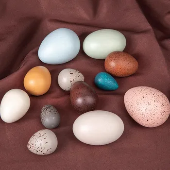 Ahşap Kuş Yumurta Simülasyon Dekorasyon Bebek Oyun Evi Oyuncak Çocuk Oyunu Sahne Anaokulu Erken Eğitim Öğretim Yardımcıları