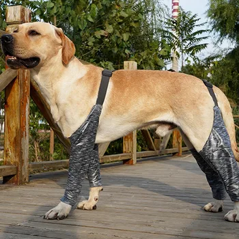 1 Adet Nefes Dört ayaklı Pet Pantolon İdrar geçirmez Anti-Yalamak Yara Gri Köpek Dirsek Koruyucu Açık Koruma Köpekler ve Bakım