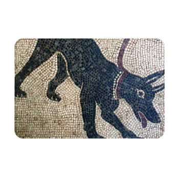 Mağara Canem-Antik Pompeii Paspas Halı Halı Paspas Ayak Pedi Polyester kaymaz Yıkanabilir Giriş Mutfak Yatak Odası Balkon Tuvalet