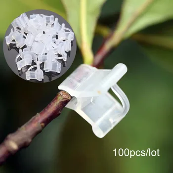 100 adet / takım Bahçe Aşılama Klipleri Sebze Çiçek Bitkiler Aşılama Klipleri Bahçe Süsleri Araçları Şeffaf Plastik