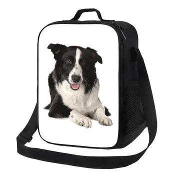 Border Collie Yalıtımlı yemek taşıma çantası Kadınlar için Pet Köpek Hediye Yeniden Kullanılabilir Soğutucu Termal Gıda yemek kabı İş Okul Seyahat